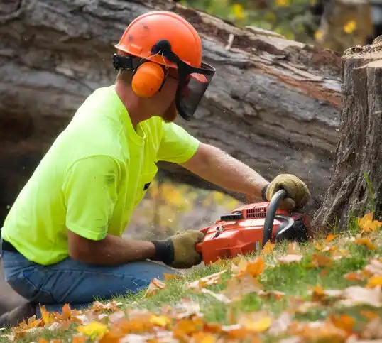 tree services Saline